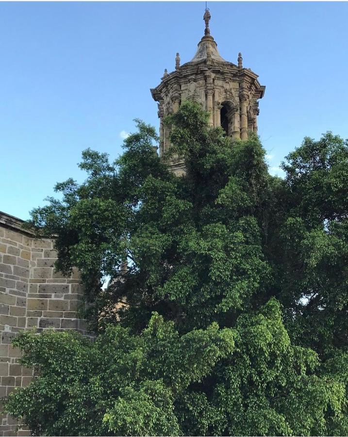 Aparthotel Meson San Felipe Guadalajara Exteriér fotografie